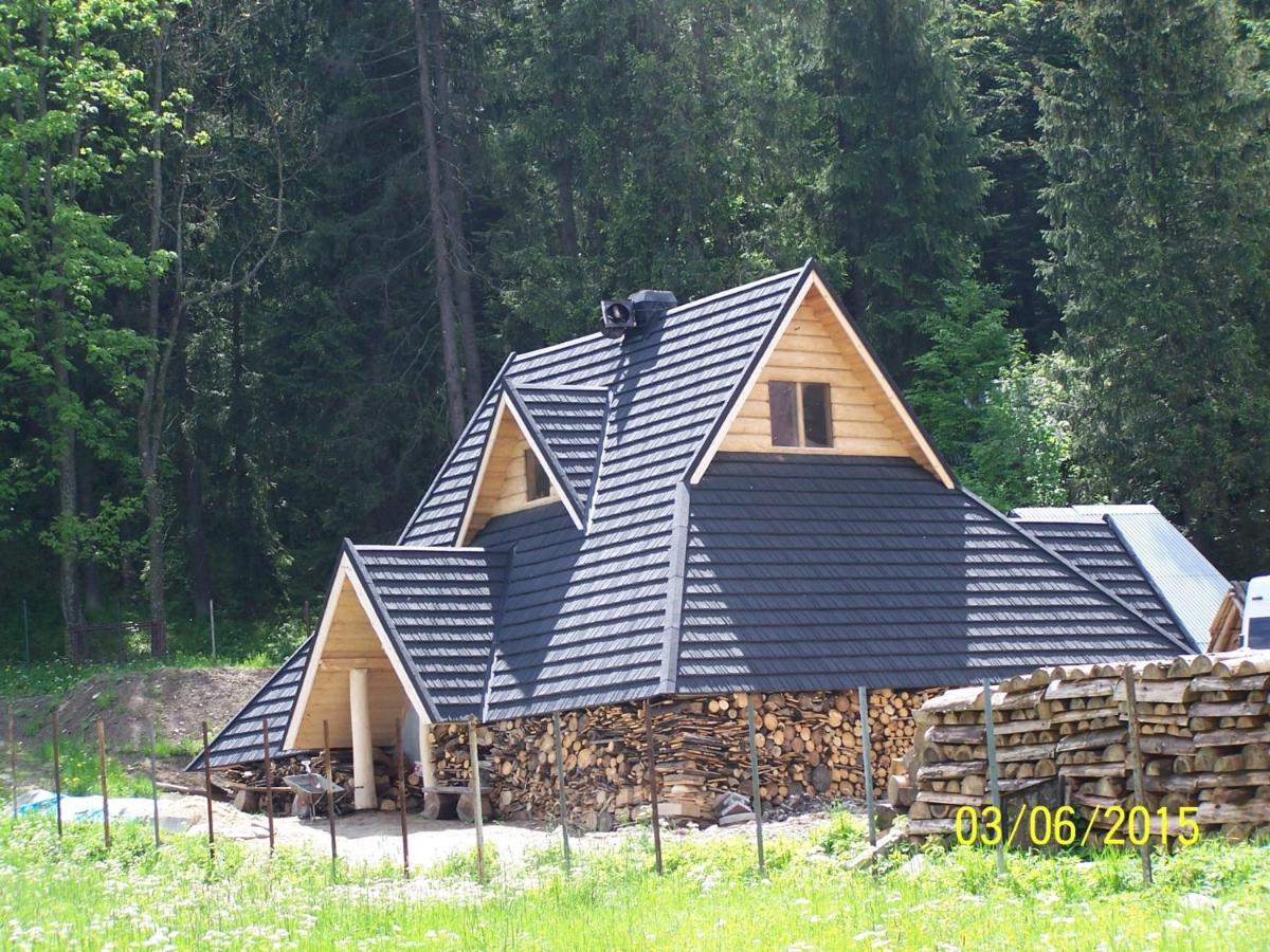 Willa Sport Zakopane Buitenkant foto